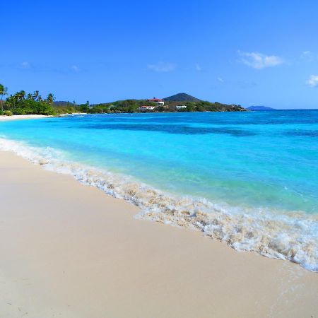 2Br Luxury Beachfront Duplex Villa On Sapphire Beach III East End  Exterior foto