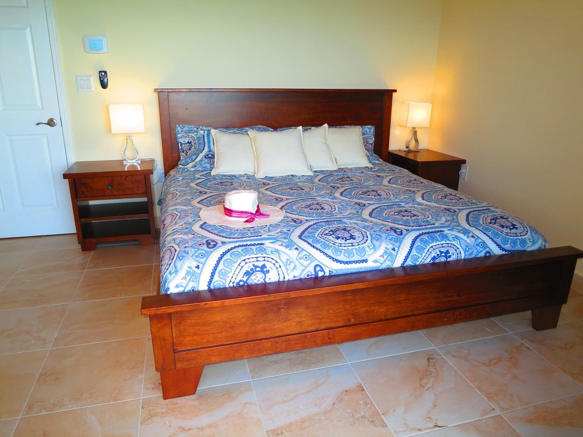 2Br Luxury Beachfront Duplex Villa On Sapphire Beach III East End  Exterior foto